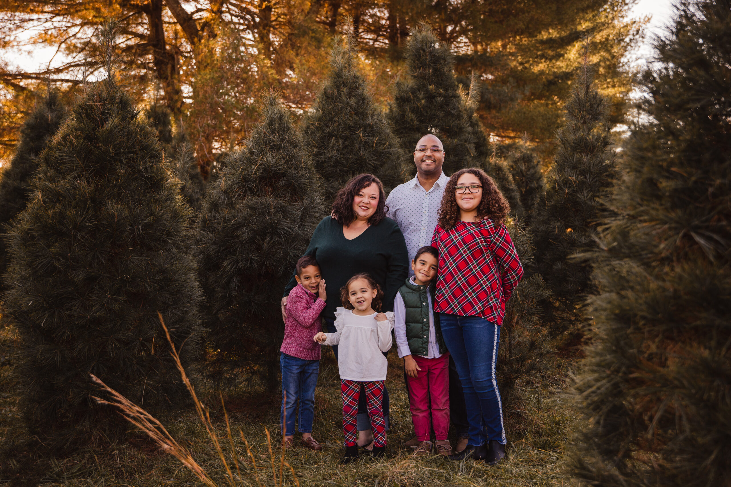 The Baker family at a Christmas tree farm